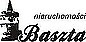 Logo - BASZTA - nieruchomości, Armii Krajowej 1, Świnoujście 72-600 - Biuro nieruchomości, godziny otwarcia, numer telefonu