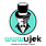 Logo - WWWujek Agencja Interaktywna, al. Zwycięstwa 241/13, Gdynia 81-521 - Informatyka, numer telefonu