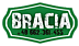 Logo - Bracia-międzynarodowy przewóz osób, Szpitalna 5, Zabrze 41-800 - Usługi transportowe, godziny otwarcia, numer telefonu