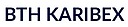 Logo - BTH Karibex, Skała 14, Skała 59-430 - Przedsiębiorstwo, Firma, godziny otwarcia, numer telefonu