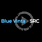 Logo - Blue Vinta & SRC, Łużycka, Gdynia 81-537 - Video filmowanie, numer telefonu