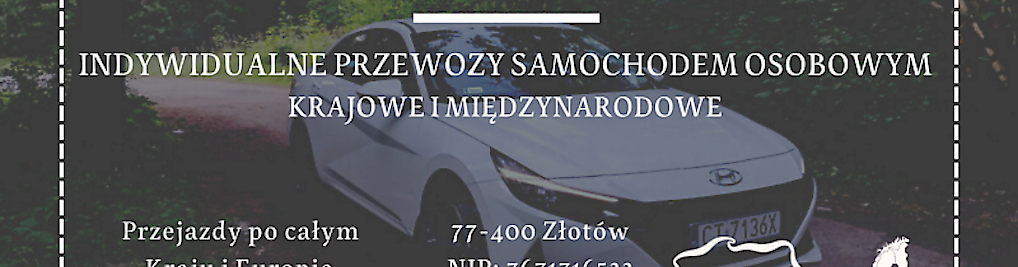 Zdjęcie w galerii Gepard - Prywatny Kierowca - Przewozy Samochodem Osobowym nr 2