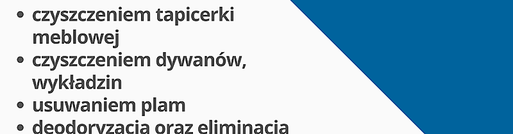 Zdjęcie w galerii Stacja Pranie - czyszczenie tapicerki Gdańsk, Gdynia, Sopot nr 1