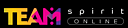 Logo - Team Spirit, Halicka 10, Kraków 31-036 - Usługi, numer telefonu