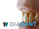 Logo - Gabinet stomatologiczny DIADENT, Zaporoska 39, Wrocław 53-519 - Dentysta, godziny otwarcia, numer telefonu