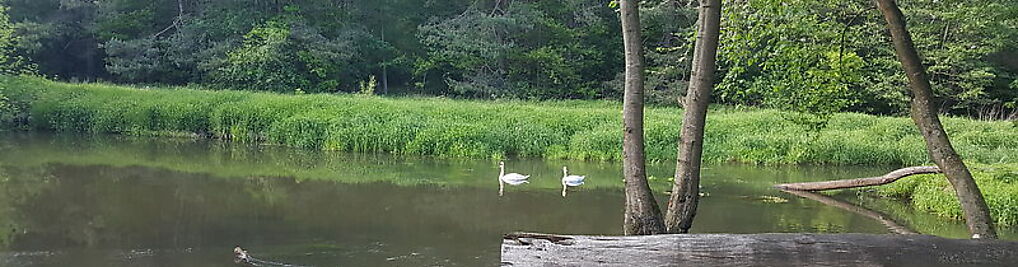 Zdjęcie w galerii OW Suchany - wynjaemkajakow.pl camping pole namiotowe nr 4