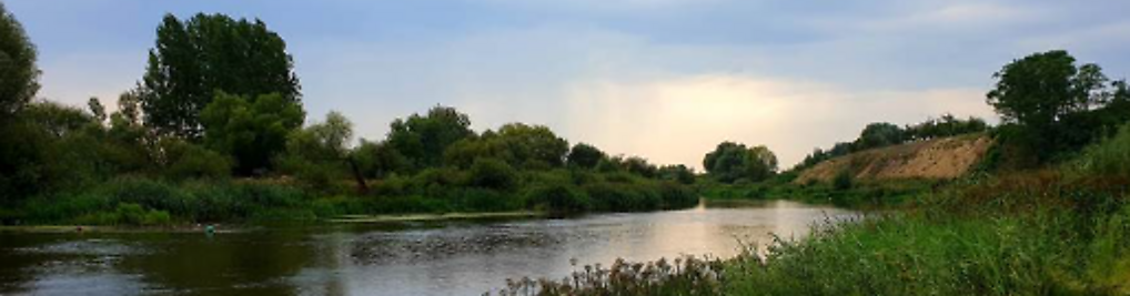 Zdjęcie w galerii OW Suchany - wynjaemkajakow.pl camping pole namiotowe nr 3