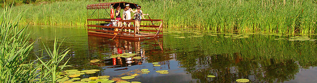 Zdjęcie w galerii Biebrzańskie safari - camping nr 10