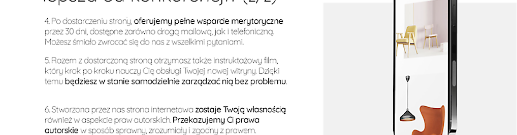 Zdjęcie w galerii Aronmeiden. Strony Internetowe, Sklepy internetowe - Marketing nr 9