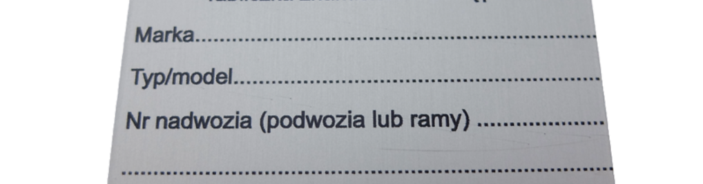 Zdjęcie w galerii Graw Net Michał Fliszkiewicz nr 3