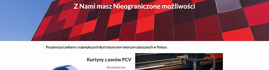 Zdjęcie w galerii RIA Creative Solutions - Projektowanie stron internetowych nr 3