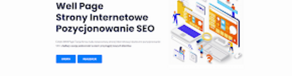 Zdjęcie w galerii Strony Internetowe - Well Page - Pozycjonowanie SEO nr 1