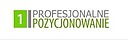 Logo - Profesjonalne Pozycjonowanie, Jeleniogórska 7, Poznań 60-179 - Informatyka, godziny otwarcia, numer telefonu