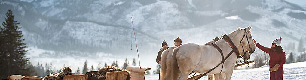 Zdjęcie w galerii Kulig Zakopane Gubałówka nr 1