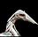 Logo - 