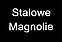 Logo - Stalowe Magnolie, ul. Lubelska 46 Bud. D, Rzeszów 35-959 - Przedsiębiorstwo, Firma, numer telefonu