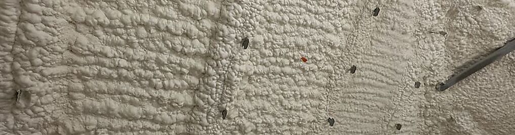 Zdjęcie w galerii TermoKomfort nr 3
