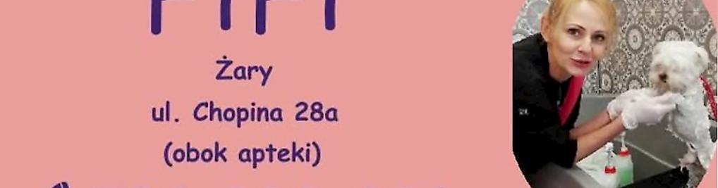 Zdjęcie w galerii FiFI Strzyżenie Pielęgnacja Psów nr 1