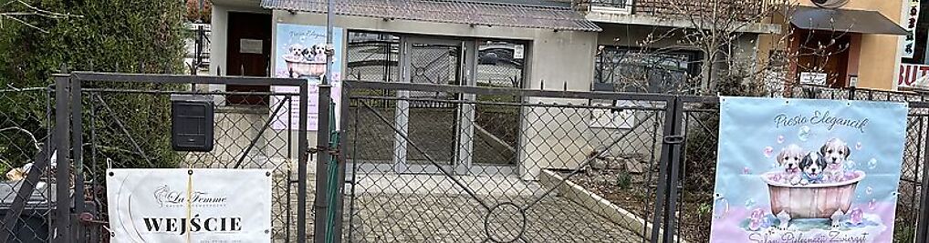 Zdjęcie w galerii Piesio Elegancik Strzyżenie Psów Tarnów nr 2