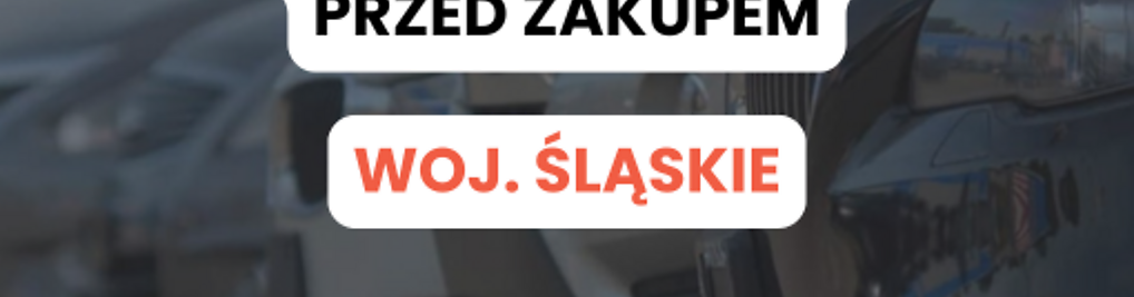 Zdjęcie w galerii JAKSPRAWDZACAUTA.PL nr 1