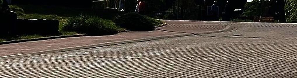 Zdjęcie w galerii Parking Zamkowy NAD STAWEM Dozorowany nr 6