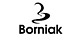 Logo - Dawid Szurlej Zut Borniak, Aleja Niepodległości 41 78-449 - Automatyka, Inteligenty budynek, godziny otwarcia, numer telefonu