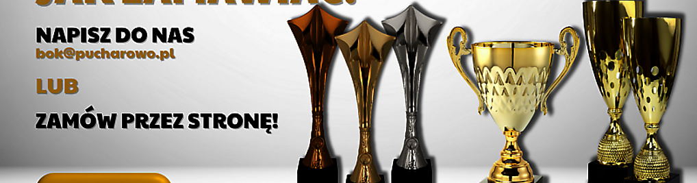 Zdjęcie w galerii Pucharowo.PL - Hurtownia i Sklep Puchary Trofea Statuetki nr 2