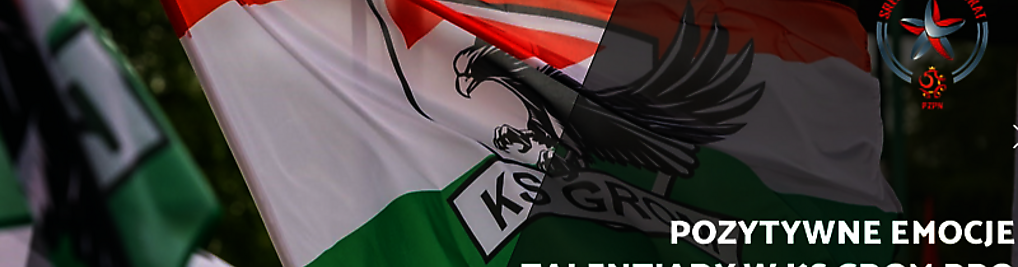 Zdjęcie w galerii Akademia Piłkarska Rembertów - Klub Sportowy Grom PRO Warszawa nr 7