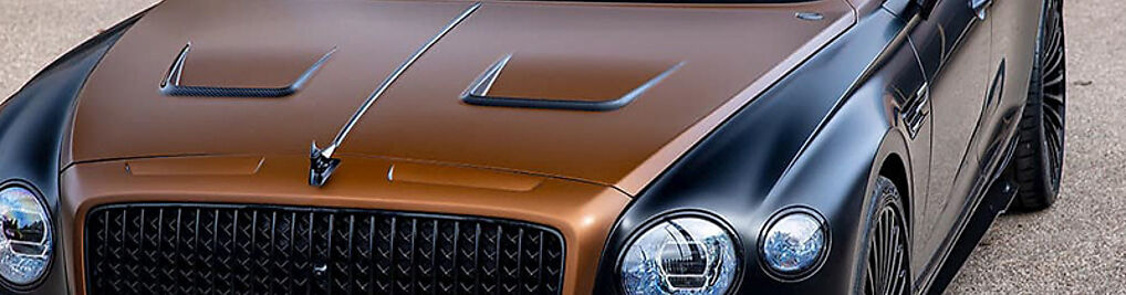 Zdjęcie w galerii APJ Garage auto detailing nr 4