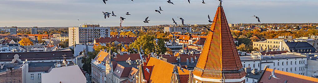 Zdjęcie w galerii Dolnych Wałów 8, 44-100 Gliwice, PL nr 1