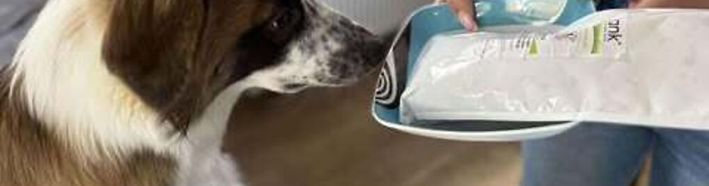 Zdjęcie w galerii Karma Mank nr 2