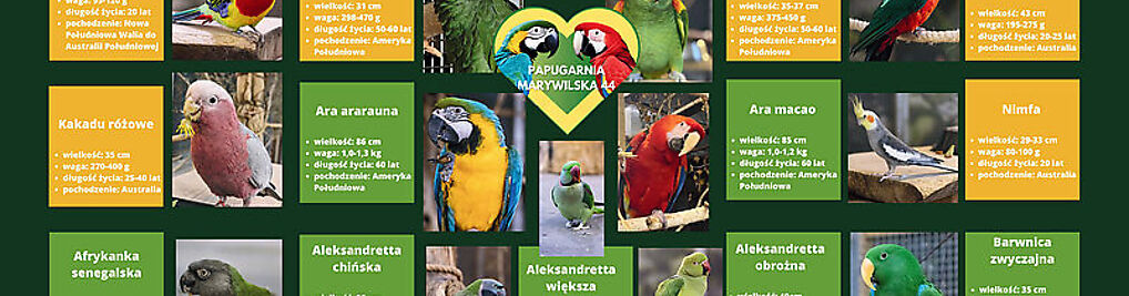 Zdjęcie w galerii Papugarnia Marywilska 44 nr 1