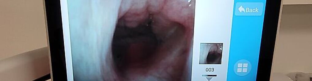 Zdjęcie w galerii Prywatny gabinet laryngologiczny - Paulina Borkowska nr 5