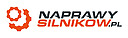Logo - NaprawySilnikow.pl-Deutz,Liebherr,Man,Fuchs,Volvo,Cat, Marynin 05-825 - Maszyny budowlane - Dealer, Serwis, godziny otwarcia, numer telefonu