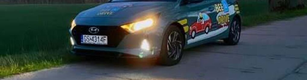 Zdjęcie w galerii Ośrodek Szkolenia Kierowców BeeDrive Karolina Stachoń nr 1