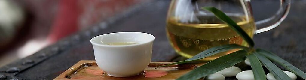 Zdjęcie w galerii Wega Mirosław Jedynak nr 3