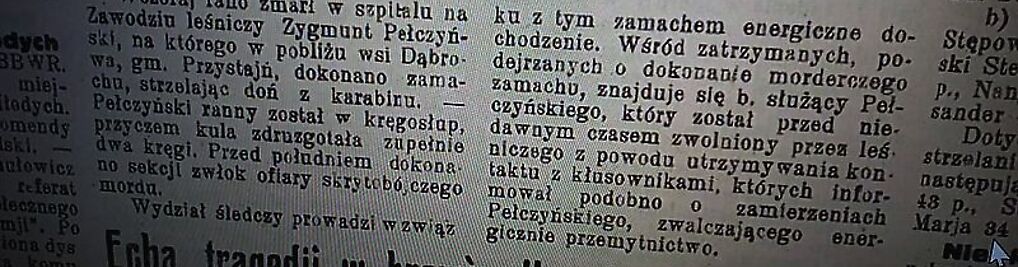 Zdjęcie w galerii Obelisk pamięci Zygmunta Antoniego Jastrzębiec-Pełczyńskiego nr 2