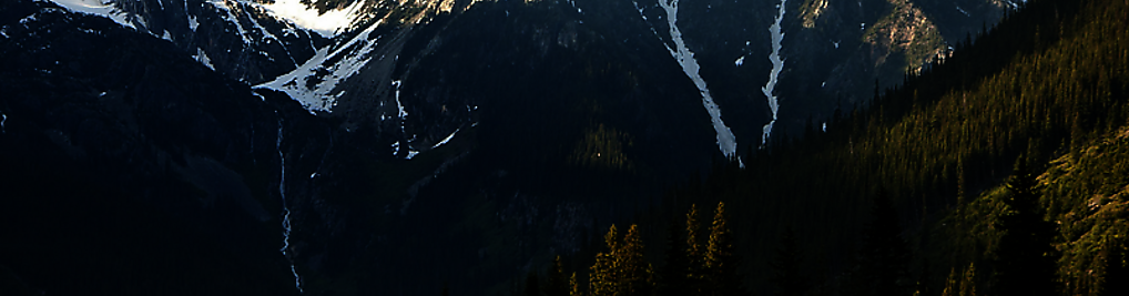 Zdjęcie w galerii Trans Dromader Przeprowadzki Kraków nr 3