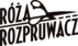 Logo - Róża Rozpruwacz, Henryka Pobożego 3, Wrocław 50-241 - Szkolenia, Kursy, Korepetycje, numer telefonu