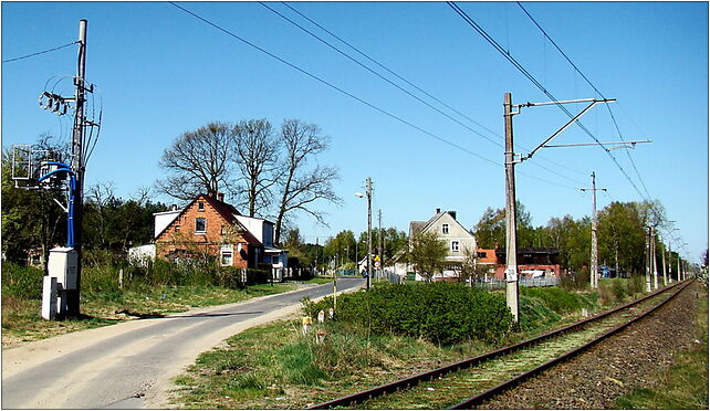 0904 Debostrów W ZPL, Dębostrów, Dębostrów 72-015 - Zdjęcia