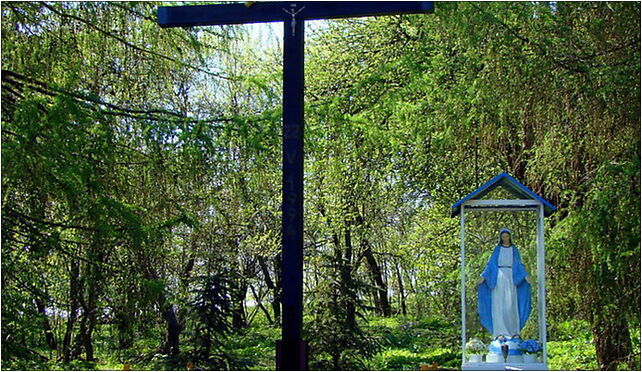 0904 Leśno Górne KrzyżPd ZPL, Leśno Górne, Leśno Górne 72-004 - Zdjęcia