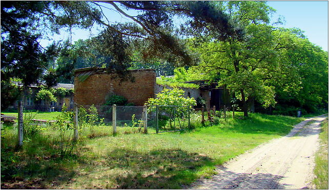 0905 Maszkowo ZPL, Maszkowo, Maszkowo 72-022 - Zdjęcia