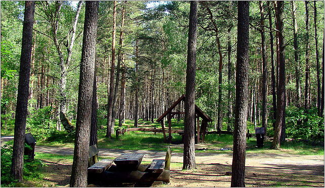 0905 Puszcza Wkrzańska AltTur ZPL, Myślibórz Mały 72-022 - Zdjęcia