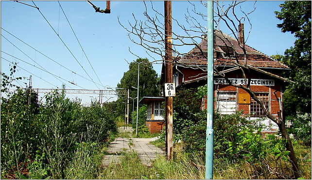 0907 St Trzebież Szczeciński 3 ZPL, Dworcowa, Trzebież 72-020 - Zdjęcia
