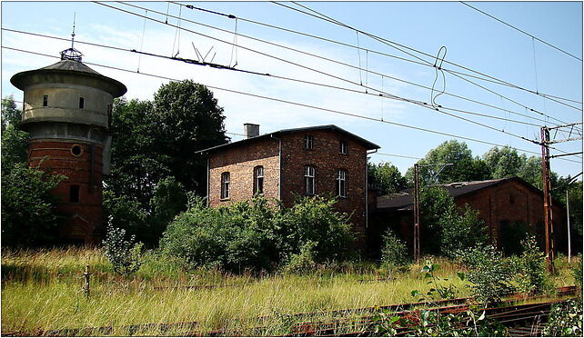 0907 St Trzebież Szczeciński 4 ZPL, Dworcowa, Trzebież 72-020 - Zdjęcia