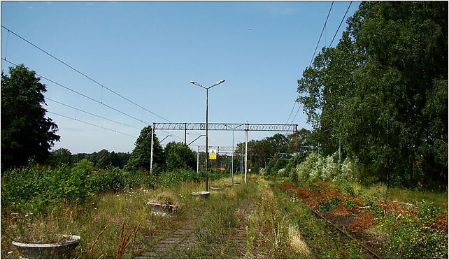 0907 St Trzebież Szczeciński 5 ZPL, Dworcowa, Trzebież 72-020 - Zdjęcia
