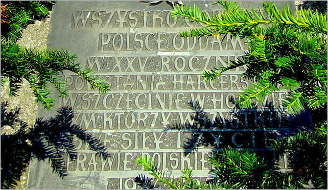 0907 Tab XXV Harcerstwa Polskiego Pl Żołnierza Polskiego Szczecin SZN 70-551 - Zdjęcia