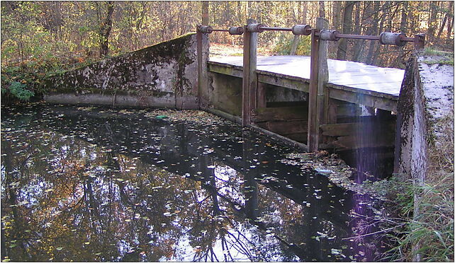 2005-11-01-stawy-ruda, Mazowiecka, Chrośla 05-311 - Zdjęcia