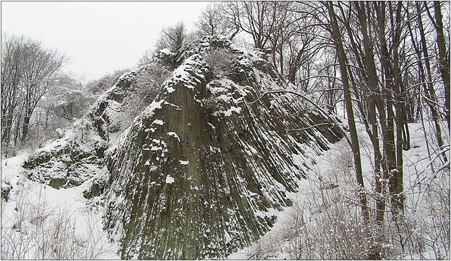 2006.02 Organy1, Podgórki - Zdjęcia