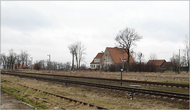 2008-02 Tołkiny 02, Dzikowina, Dzikowina 11-430 - Zdjęcia